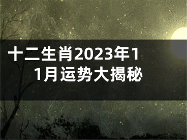 十二生肖2023年11月运势大揭秘