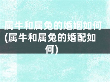 属牛和属兔的婚姻如何(属牛和属兔的婚配如何)