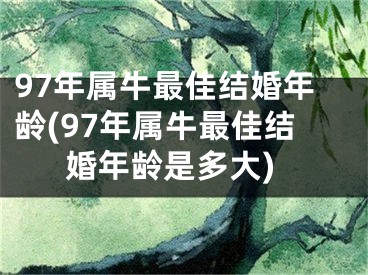 97年属牛最佳结婚年龄(97年属牛最佳结婚年龄是多大)