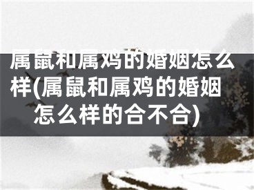 属鼠和属鸡的婚姻怎么样(属鼠和属鸡的婚姻怎么样的合不合)
