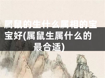 属鼠的生什么属相的宝宝好(属鼠生属什么的最合适)