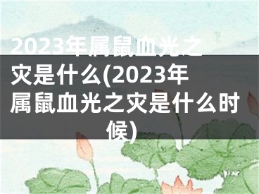 2023年属鼠血光之灾是什么(2023年属鼠血光之灾是什么时候)