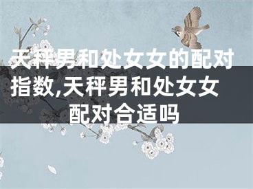 天秤男和处女女的配对指数,天秤男和处女女配对合适吗