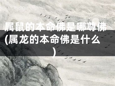 属鼠的本命佛是哪尊佛(属龙的本命佛是什么)