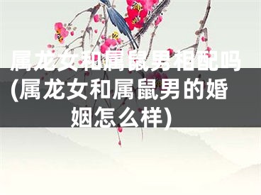 属龙女和属鼠男相配吗(属龙女和属鼠男的婚姻怎么样)