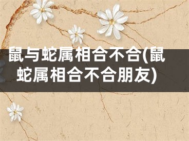 鼠与蛇属相合不合(鼠蛇属相合不合朋友)