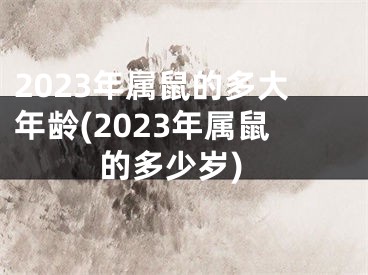 2023年属鼠的多大年龄(2023年属鼠的多少岁)