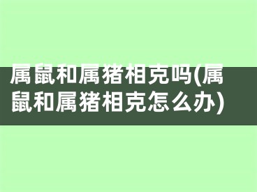 属鼠和属猪相克吗(属鼠和属猪相克怎么办)