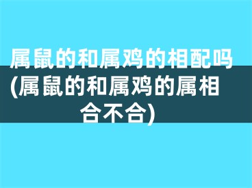属鼠的和属鸡的相配吗(属鼠的和属鸡的属相合不合)