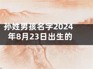 孙姓男孩名字2024年8月23日出生的