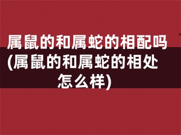 属鼠的和属蛇的相配吗(属鼠的和属蛇的相处怎么样)