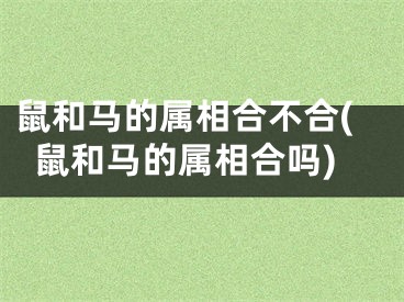 鼠和马的属相合不合(鼠和马的属相合吗)