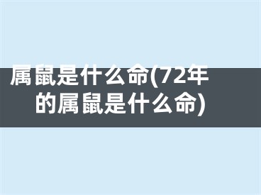 属鼠是什么命(72年的属鼠是什么命)