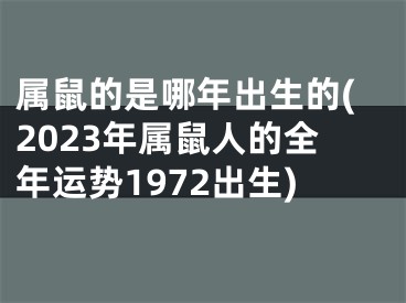 属鼠的是哪年出生的(2023年属鼠人的全年运势1972出生)