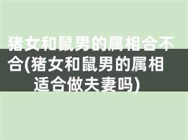 猪女和鼠男的属相合不合(猪女和鼠男的属相适合做夫妻吗)