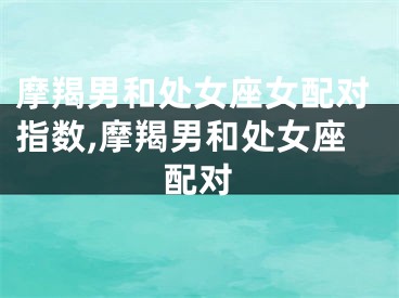 摩羯男和处女座女配对指数,摩羯男和处女座配对