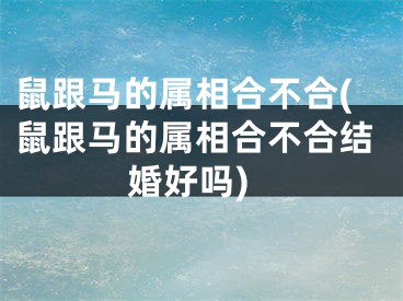 鼠跟马的属相合不合(鼠跟马的属相合不合结婚好吗)