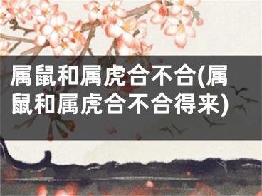 属鼠和属虎合不合(属鼠和属虎合不合得来)