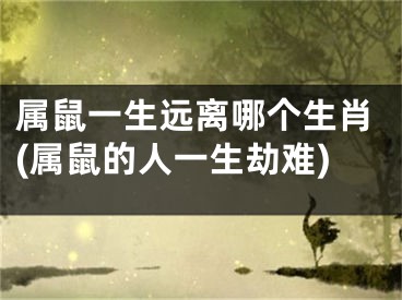 属鼠一生远离哪个生肖(属鼠的人一生劫难)