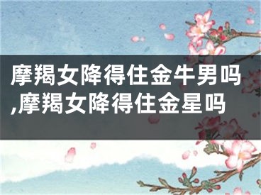 摩羯女降得住金牛男吗,摩羯女降得住金星吗