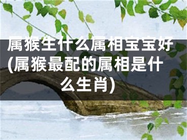 属猴生什么属相宝宝好(属猴最配的属相是什么生肖)