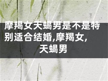 摩羯女天蝎男是不是特别适合结婚,摩羯女,天蝎男