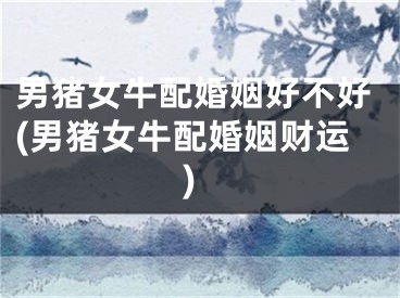 男猪女牛配婚姻好不好(男猪女牛配婚姻财运)