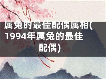 属兔的最佳配偶属相(1994年属兔的最佳配偶)