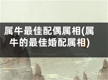 属牛最佳配偶属相(属牛的最佳婚配属相)