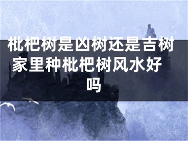 枇杷树是凶树还是吉树 家里种枇杷树风水好吗