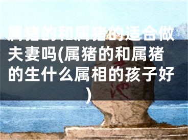 属猪的和属猪的适合做夫妻吗(属猪的和属猪的生什么属相的孩子好)