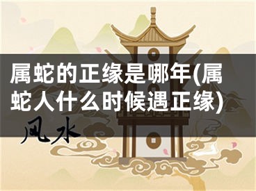 属蛇的正缘是哪年(属蛇人什么时候遇正缘)