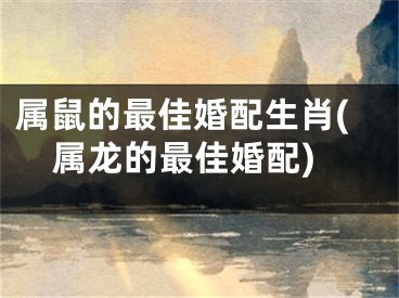 属鼠的最佳婚配生肖(属龙的最佳婚配)