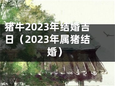 猪牛2023年结婚吉日（2023年属猪结婚）