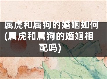 属虎和属狗的婚姻如何(属虎和属狗的婚姻相配吗)