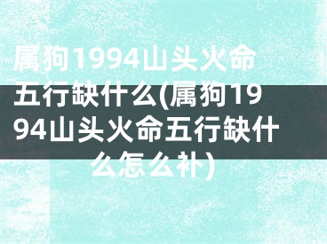 属狗1994山头火命五行缺什么(属狗1994山头火命五行缺什么怎么补)