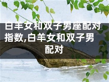 白羊女和双子男座配对指数,白羊女和双子男配对