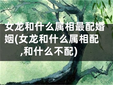 女龙和什么属相最配婚姻(女龙和什么属相配,和什么不配)