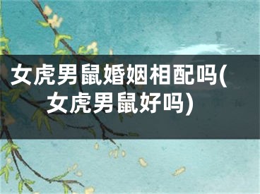 女虎男鼠婚姻相配吗(女虎男鼠好吗)
