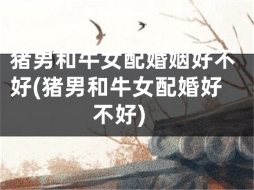 猪男和牛女配婚姻好不好(猪男和牛女配婚好不好)