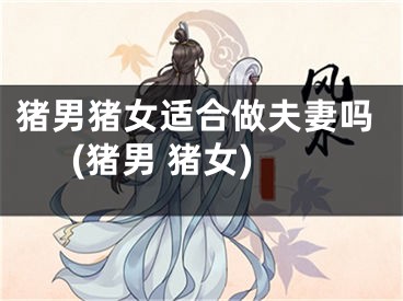 猪男猪女适合做夫妻吗(猪男 猪女)