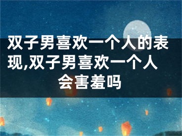 双子男喜欢一个人的表现,双子男喜欢一个人会害羞吗