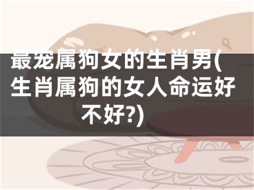 最宠属狗女的生肖男(生肖属狗的女人命运好不好?)