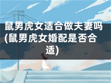 鼠男虎女适合做夫妻吗(鼠男虎女婚配是否合适)