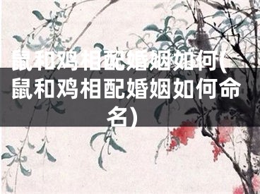 鼠和鸡相配婚姻如何(鼠和鸡相配婚姻如何命名)