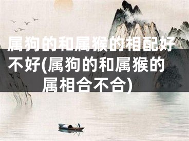 属狗的和属猴的相配好不好(属狗的和属猴的属相合不合)