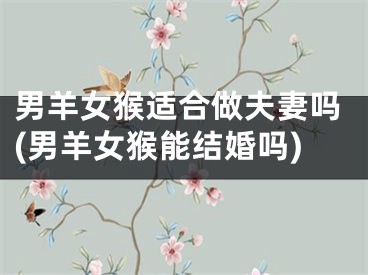 男羊女猴适合做夫妻吗(男羊女猴能结婚吗)