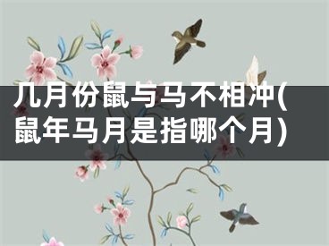 几月份鼠与马不相冲(鼠年马月是指哪个月)