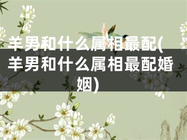 羊男和什么属相最配(羊男和什么属相最配婚姻)
