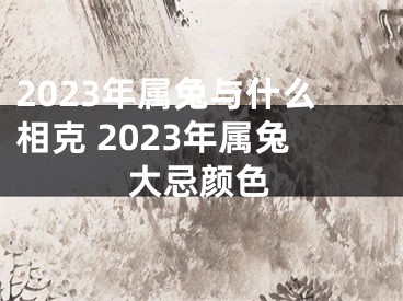 2023年属兔与什么相克 2023年属兔大忌颜色